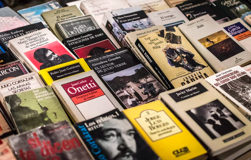 What Is A Novel 