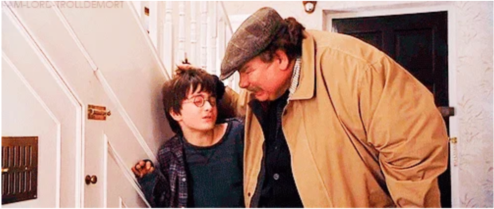 Harry Potter being grabbed by the hair by Vernon Dursley